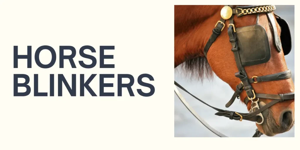 Horse Blinkers