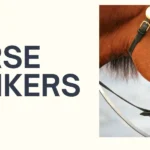 Horse Blinkers